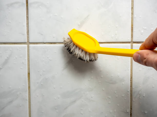 Best Insurance-Related Mold Remediation in Onsted, MI