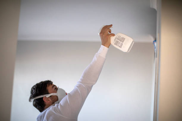 Best Emergency Mold Remediation in Onsted, MI